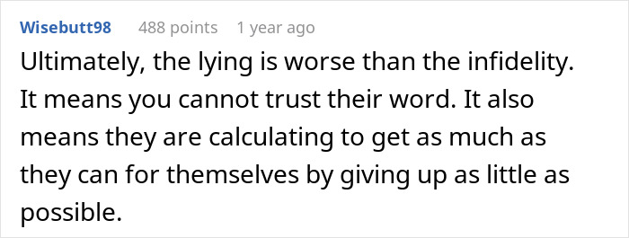 Screenshot of a Reddit comment discussing trust and lying related to a wife’s cheating and infidelity situation.