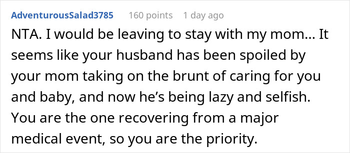 Screenshot of a Reddit comment discussing new mom kicking out husband in-laws for not helping with baby.