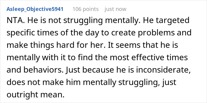 Reddit comment explaining a man using mental issues as an excuse to mistreat SIL, highlighting entitled behavior and being kicked out.