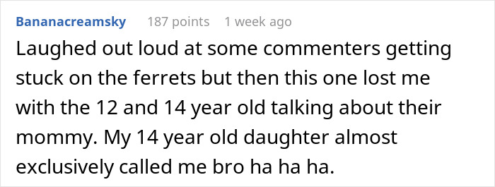 Reddit comment screenshot about parenting and ferrets, man suspects wife, red flags, lesbian bestie