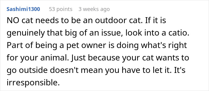Text comment about outdoor cats and responsible pet ownership, discussing cats disappearing and neighbors adopting them.