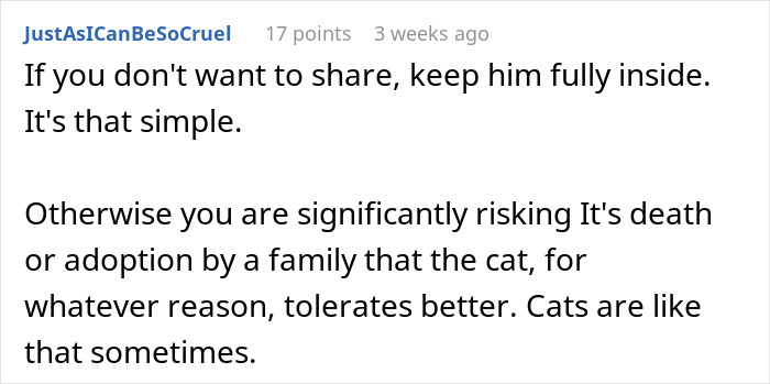 Comment about keeping a cat inside to prevent it from disappearing or being adopted by a neighbor&rsquo;s family.
