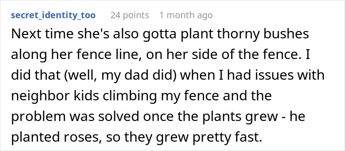 Comment about planting thorny bushes along the fence to protect backyard from nightmare neighbors secretly using it without permission.