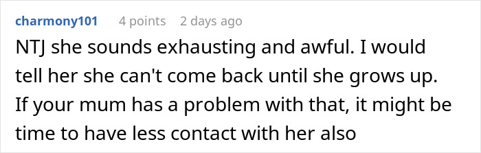 Comment expressing frustration about a woman stealing a skirt from her 5-year-old niece and lying when caught.