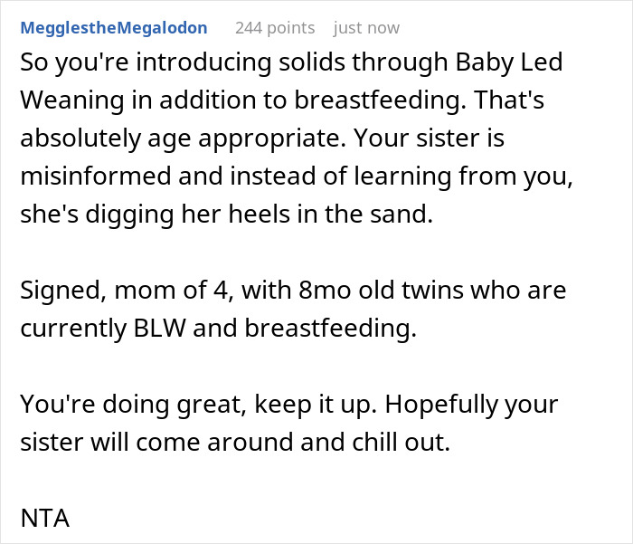 Childless Sis Keeps Lecturing Man About Baby Food, Livid When He “Mansplains” Breastfeeding To Her