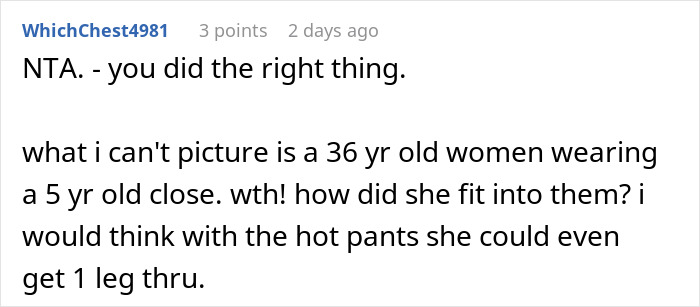 Reddit comment discussing a woman stealing her 5-year-old niece&rsquo;s skirt and lying when confronted.