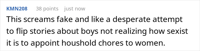 Commenter KMN208 expressing skepticism about stories on boys avoiding household chores, highlighting gender bias in chores. Commenter KMN208 expressing skepticism about stories on boys avoiding household chores, highlighting gender bias in chores.