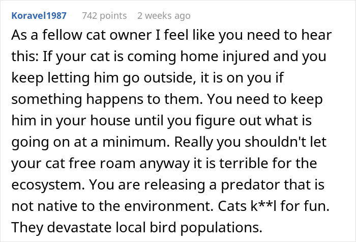 Comment discussing risks of cats disappearing and roaming freely, highlighting neighbor adopting cat and impact on bird populations.