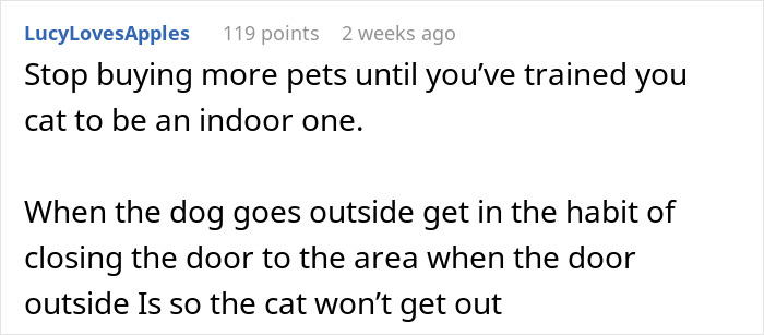 Text advice on training a cat to stay indoors and closing doors to prevent the cat from disappearing for days.