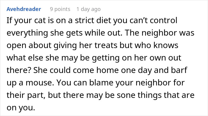 Woman Ignores Warnings About Not Feeding The Neighbors Cat, Learns Her Lesson The Hard Way Woman Ignores Warnings About Not Feeding The Neighbors Cat, Learns Her Lesson The Hard Way