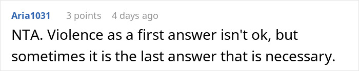 Comment discussing violence as a last resort in the context of dad taking son out after he punches a bully.