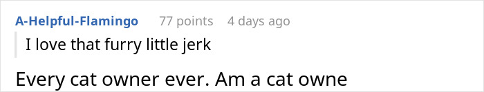 Screenshot of a Reddit comment expressing love for a furry cat, relating to lost cat street survivor and family royalty story.