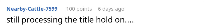 Comment on Reddit in blue and black text by user Nearby-Cattle-7599 with 100 points written 6 days ago, discussing processing a title. Comment on Reddit in blue and black text by user Nearby-Cattle-7599 with 100 points written 6 days ago, discussing processing a title.
