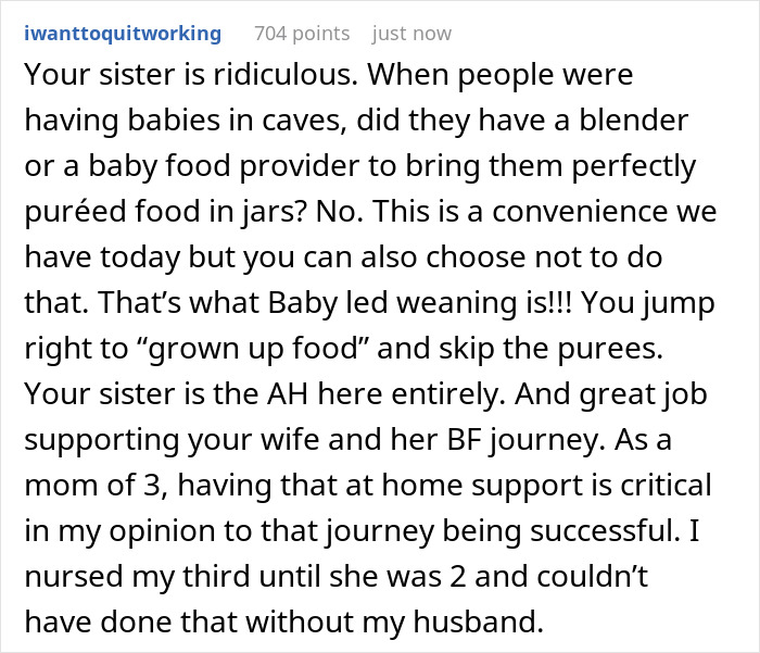 Childless Sis Keeps Lecturing Man About Baby Food, Livid When He “Mansplains” Breastfeeding To Her