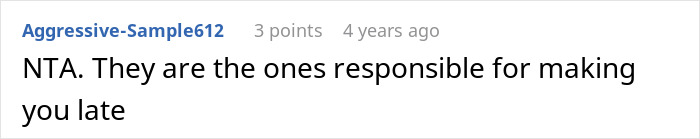 Comment on a forum post showing a user explaining who is responsible for a late arrival in a road trip dispute about seat belt use.