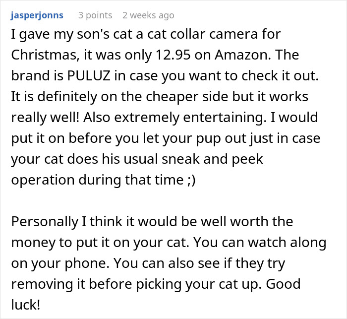 Comment about using a cat collar camera to track a cat that disappears for days and is secretly adopted by a neighbor.