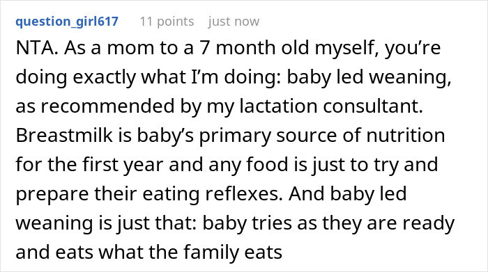 Childless Sis Keeps Lecturing Man About Baby Food, Livid When He “Mansplains” Breastfeeding To Her