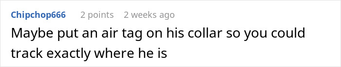 Comment suggesting to put an air tag on a cat&rsquo;s collar to track where the cat goes during disappearances.