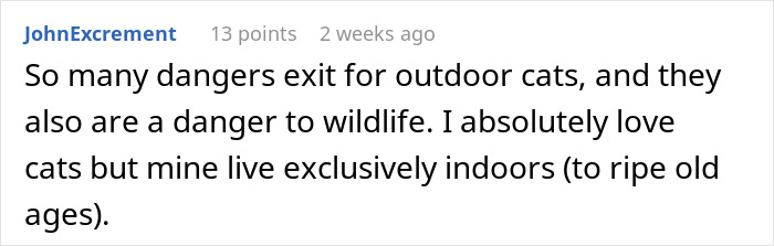 Comment about outdoor cats&rsquo; dangers and a personal preference for keeping cats exclusively indoors for safety.