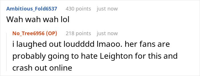 Online comments reacting to Ariana Grande being roasted after Leighton Meester's red carpet mock.