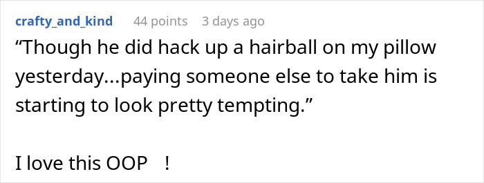 Screenshot of a Reddit comment expressing frustration about a cat’s behavior and joking about rehoming the pet.