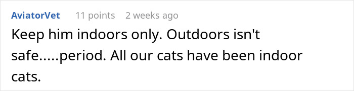 Comment about keeping a cat indoors only, sharing experience that all their cats have been indoor cats for safety.