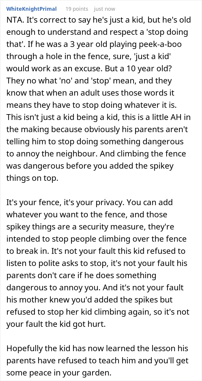 Comment explaining dangers of son climbing fence and person adding security spikes to protect privacy. Comment explaining dangers of son climbing fence and person adding security spikes to protect privacy.