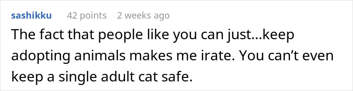 User comment about frustration over neighbors adopting a cat causing the cat to disappear for days, raising concerns about pet safety.