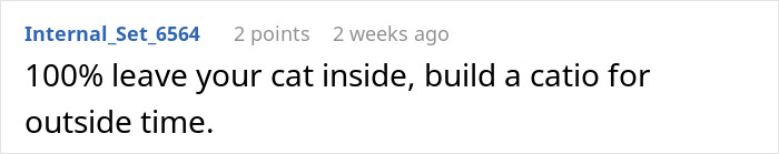 Text showing advice to leave your cat inside and build a catio for outside time to keep the cat safe.