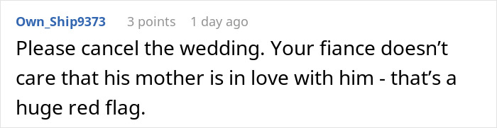 Comment expressing concern about fiance's mother being in love with him, calling it a huge red flag.