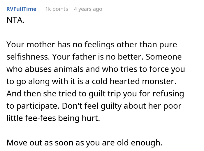 Teen trying to give gifted chinchillas a proper life while facing family conflict over pet care standards