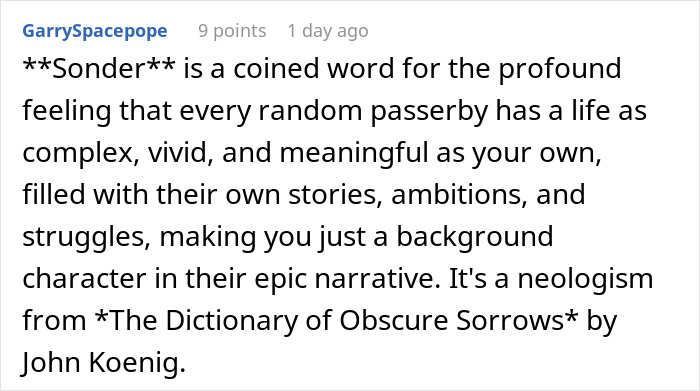 Screenshot of a Reddit comment explaining sonder as a word about random family group chat emotional investment.