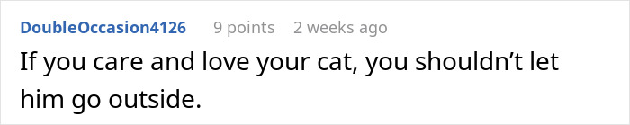 Comment advice on caring for a cat that frequently disappears outside, related to neighbor adopting the pet.