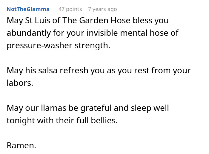 Reddit comment expressing gratitude with humorous blessings referencing garden hose, salsa, llamas, and ramen.