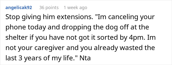 Screenshot of a Reddit comment where a woman threatens to take her ex&rsquo;s dog to a shelter if unresolved by 4pm.