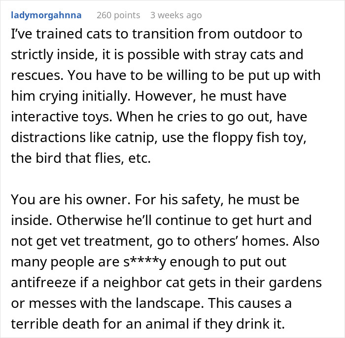 Alt text: Cat disappearing for days as neighbor secretly adopts him, owner shares advice on keeping cats safe indoors and entertained.