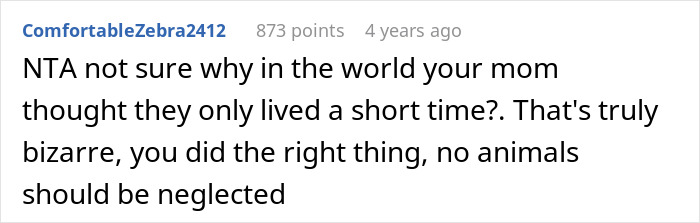 Screenshot of a Reddit comment discussing a teen’s effort to give gifted chinchillas a proper life despite mom’s disapproval. Screenshot of a Reddit comment discussing a teen’s effort to give gifted chinchillas a proper life despite mom’s disapproval.