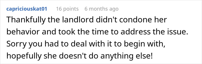 Screenshot of a Reddit comment discussing a landlord addressing an entitled sister harassing the brother’s tenant situation. Screenshot of a Reddit comment discussing a landlord addressing an entitled sister harassing the brother’s tenant situation.
