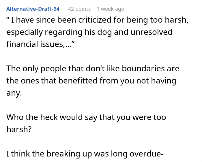 Comment discussing unresolved issues involving ex&rsquo;s dog and boundaries, reflecting woman can&rsquo;t handle situation with dog.