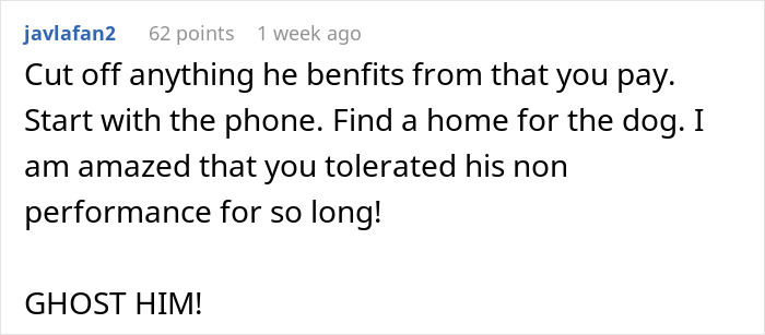 Screenshot of a Reddit comment advising to find a home for the dog and cut off contact with ex who isn&rsquo;t helping.
