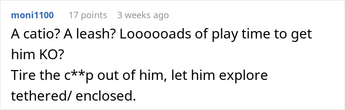 User comment suggesting using a catio or leash for a cat that starts disappearing, to allow safe exploration and playtime.
