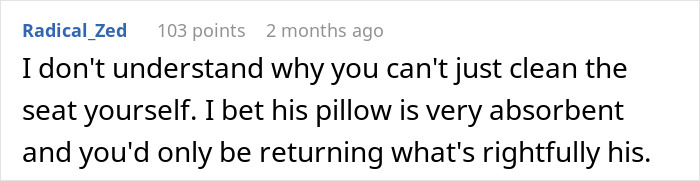 Text comment about cleaning toilet seat stains, expressing frustration related to brother leaving messes.