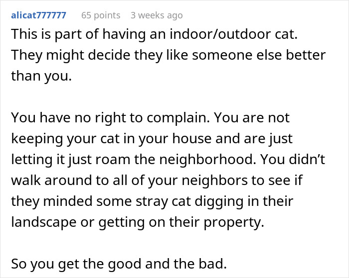 Comment discussing indoor/outdoor cat behavior and neighbors possibly adopting a cat that disappears for days.