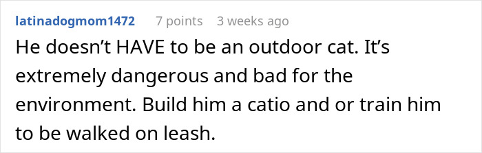 Comment about dangers of an outdoor cat and suggesting building a catio or leash training for safety and environment.
