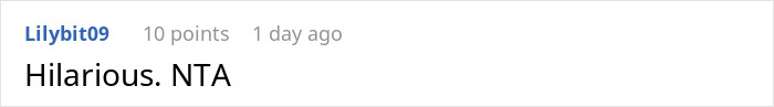 Screenshot of comment by user Lilybit09, stating "Hilarious. NTA" in a casual online discussion.