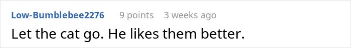 Screenshot of an online comment saying the cat prefers the neighbor who has been &lsquo;adopting&rsquo; him.