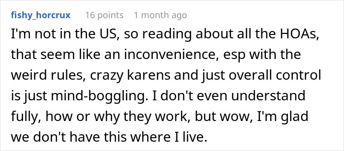 Comment discussing frustrations with HOA rules and challenging neighbors in a community setting.