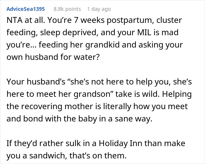 Text excerpt discussing a new mom postpartum struggles and frustrations with husband and inlaws not helping with baby care. Text excerpt discussing a new mom postpartum struggles and frustrations with husband and inlaws not helping with baby care.
