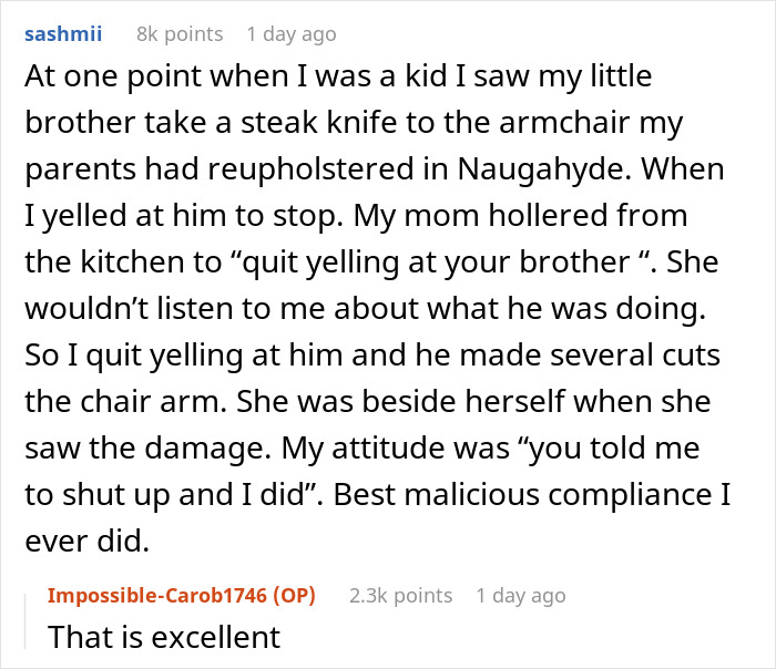 Parents Ghost Babysitter Bro, Throw A Tantrum When They Come Home To Chaos