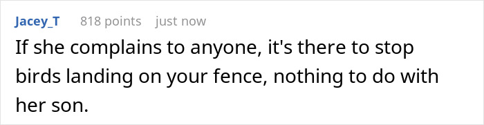Comment explaining fence is meant to stop birds, addressing complaints about son climbing fence and privacy concerns. Comment explaining fence is meant to stop birds, addressing complaints about son climbing fence and privacy concerns.